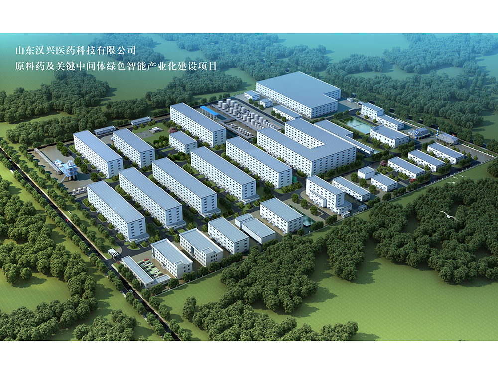 山东汉兴医药科技有限公司